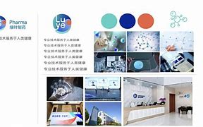 绿叶商城苹果版6苹果id查找手机位置