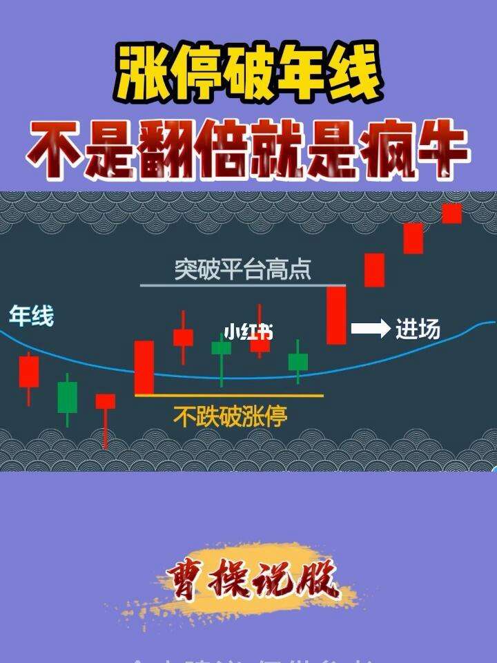 黑马涨停预警指标手机版预测明日涨停预警的最好指标公式-第2张图片-太平洋在线下载