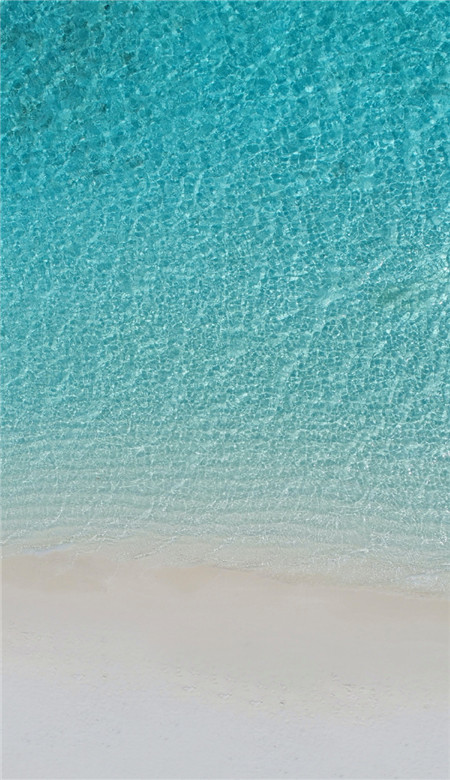 海浪康手机客户端海鹦浏览器官方网站下载-第2张图片-太平洋在线下载