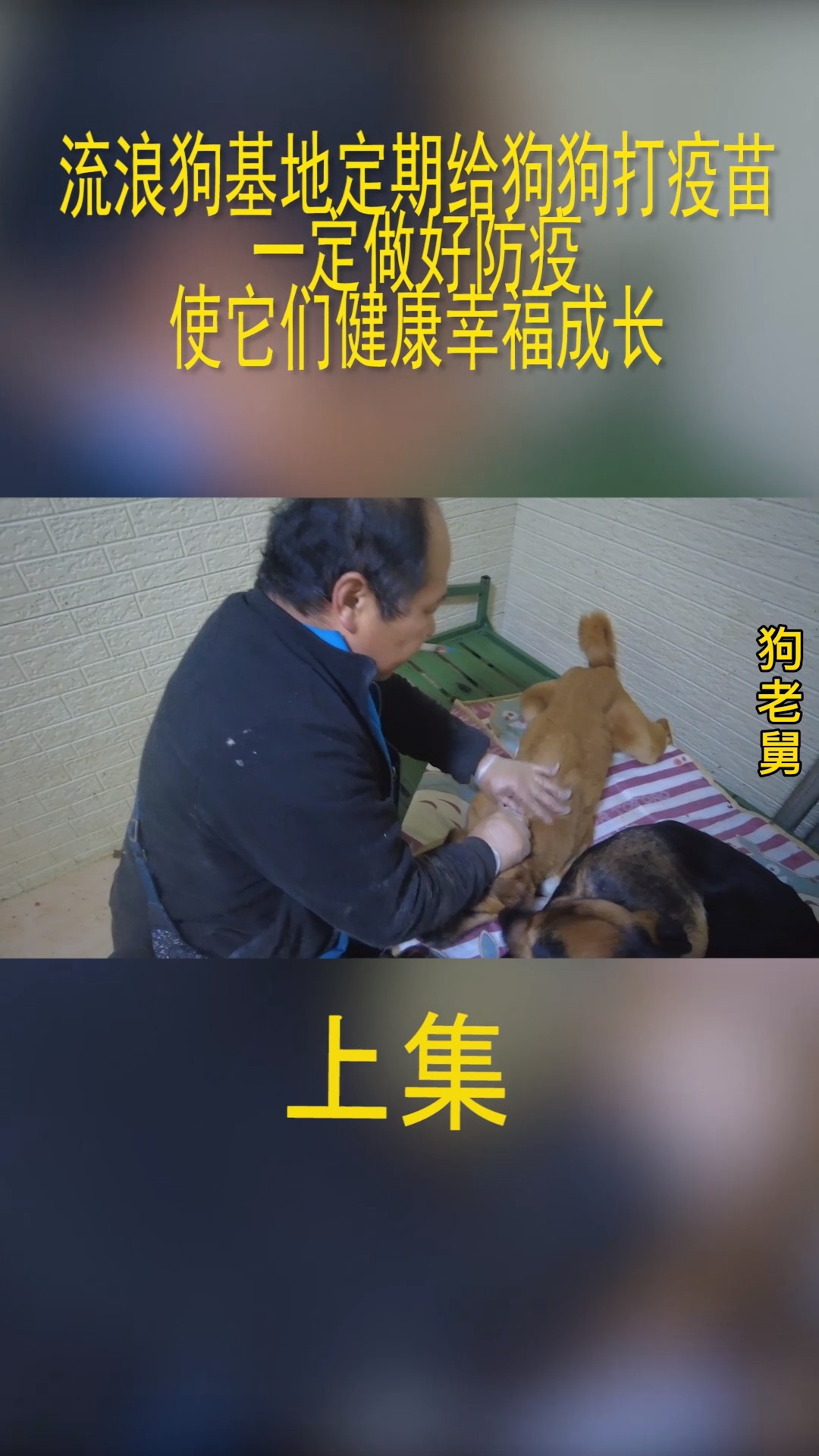 犬防疫平台客户端官方客户端下载完整版-第2张图片-太平洋在线下载