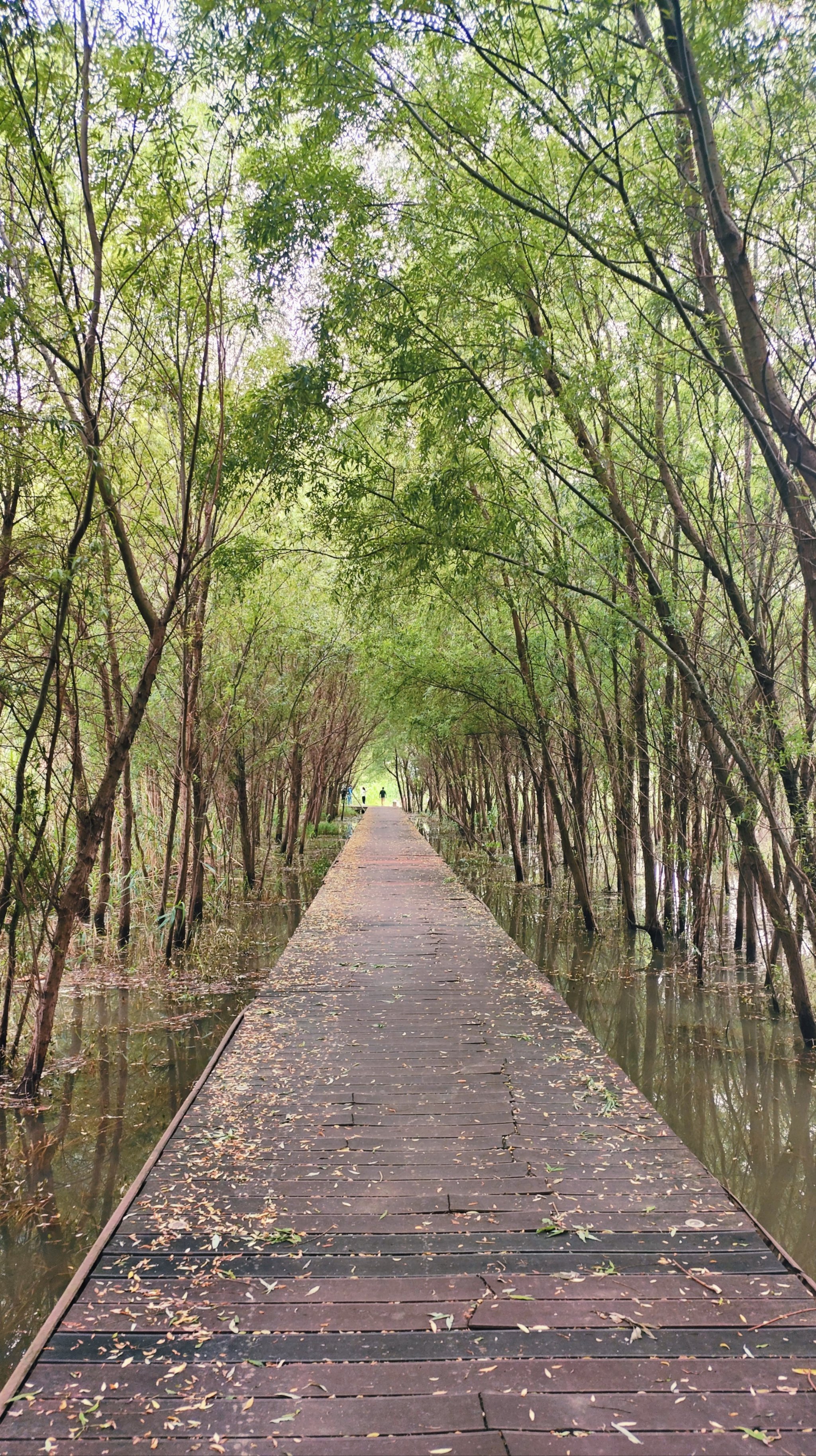 随处拍app苹果版广汇拍app苹果版下载-第2张图片-太平洋在线下载
