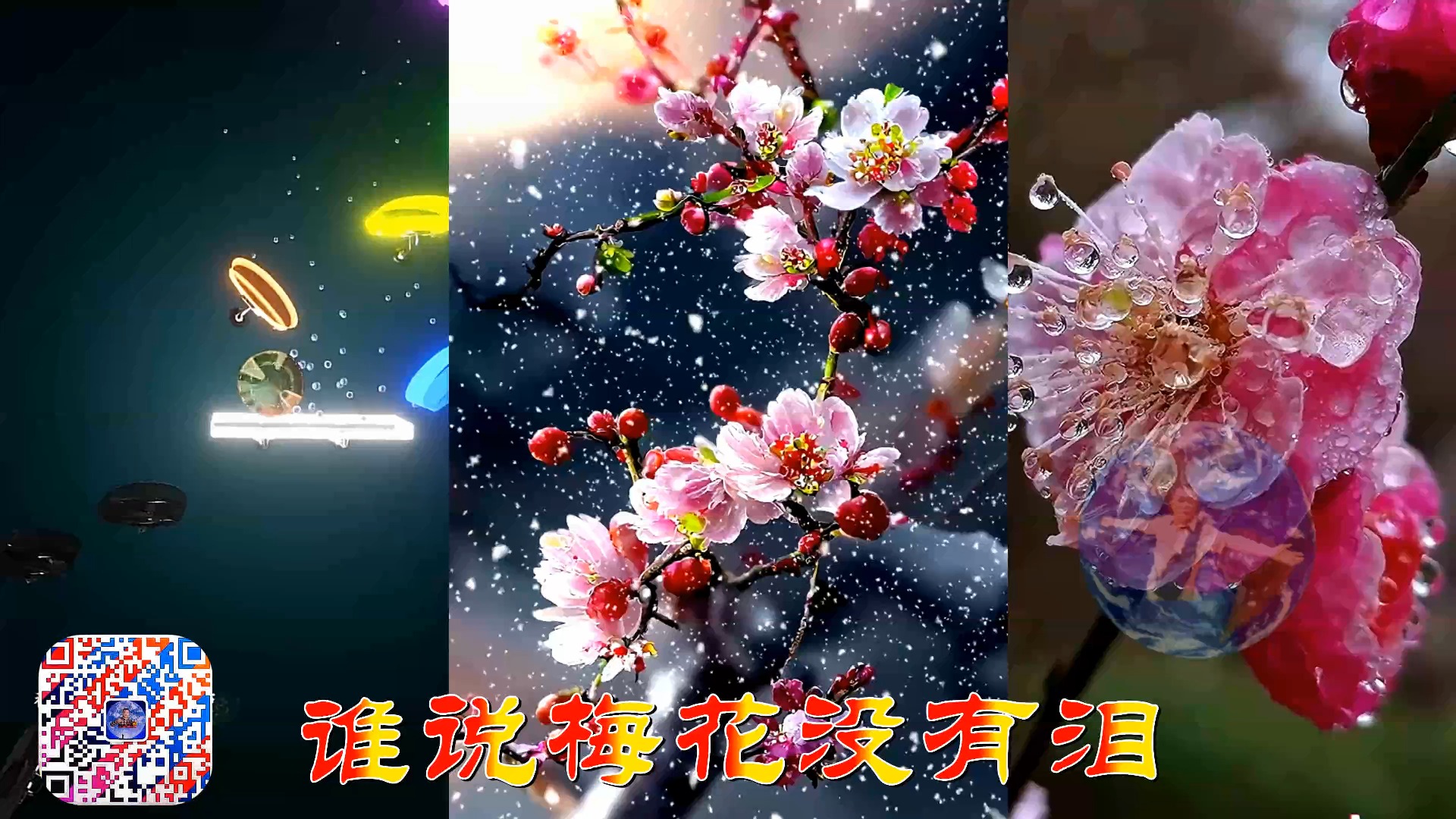 梅花视频安卓版梅花app推广二维码图片-第2张图片-太平洋在线下载