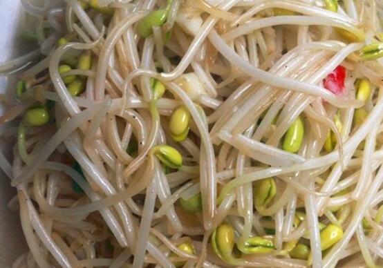 苹果版豆芽软件下载苹果160系统下载-第2张图片-太平洋在线下载