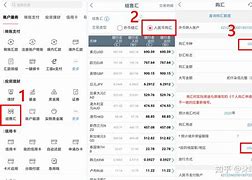 服购汇客户端结汇购汇什么软件看
